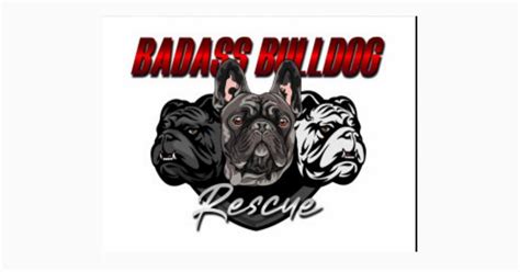 badass bully rescue|Badass Bulldog Rescue Dog rescue in Huber Heights, .